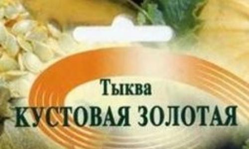 Выращивание тыквы в Сибири — посадка, уход, сбор урожая Как вырастить тыкву в открытом грунте